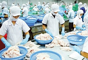 US lowers anti-dumping duties on tra fish fillets from Vietnam  - ảnh 1